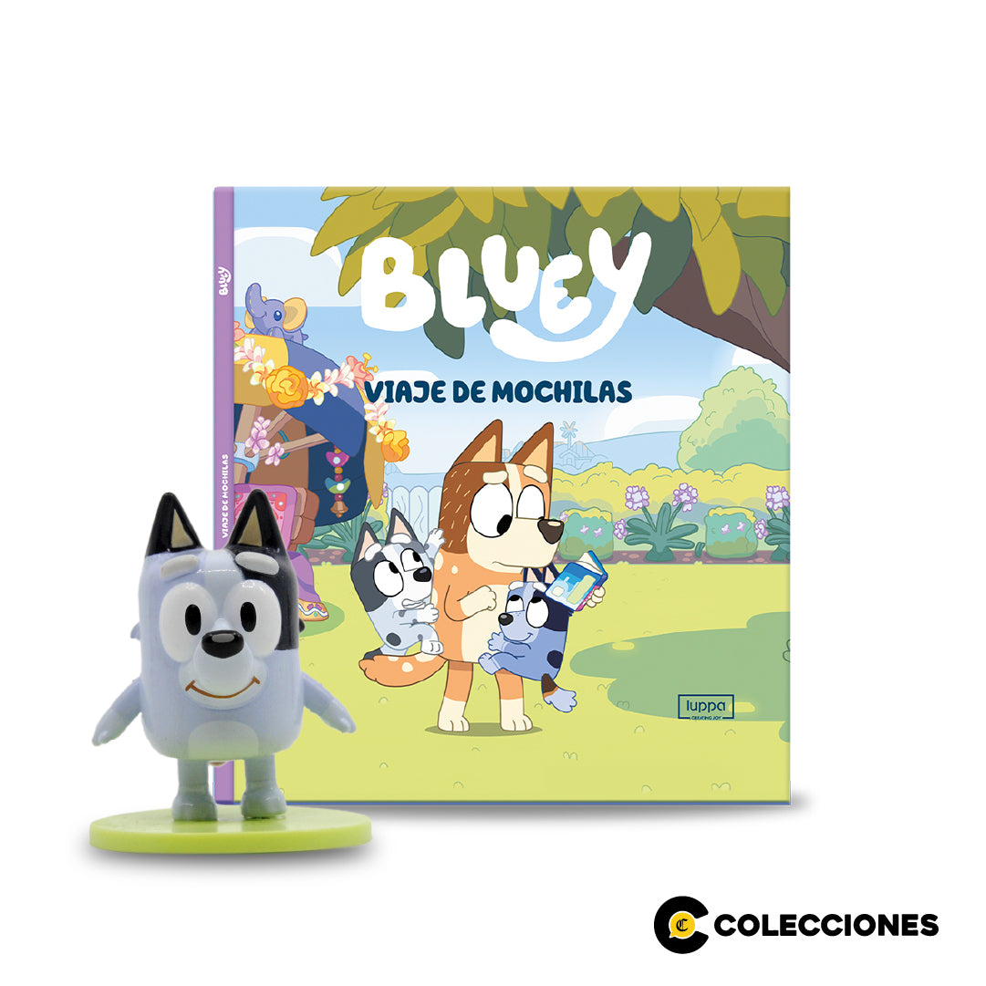 B11 - SOCKS + LIBRO