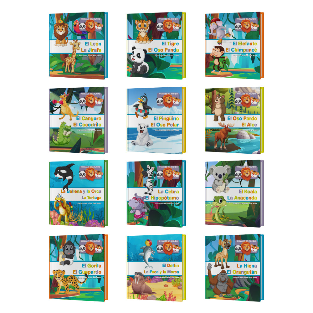 AM - 24 FIGURAS + 12 LIBROS DE TAPA DURA