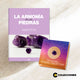01 - Amatista + Revista