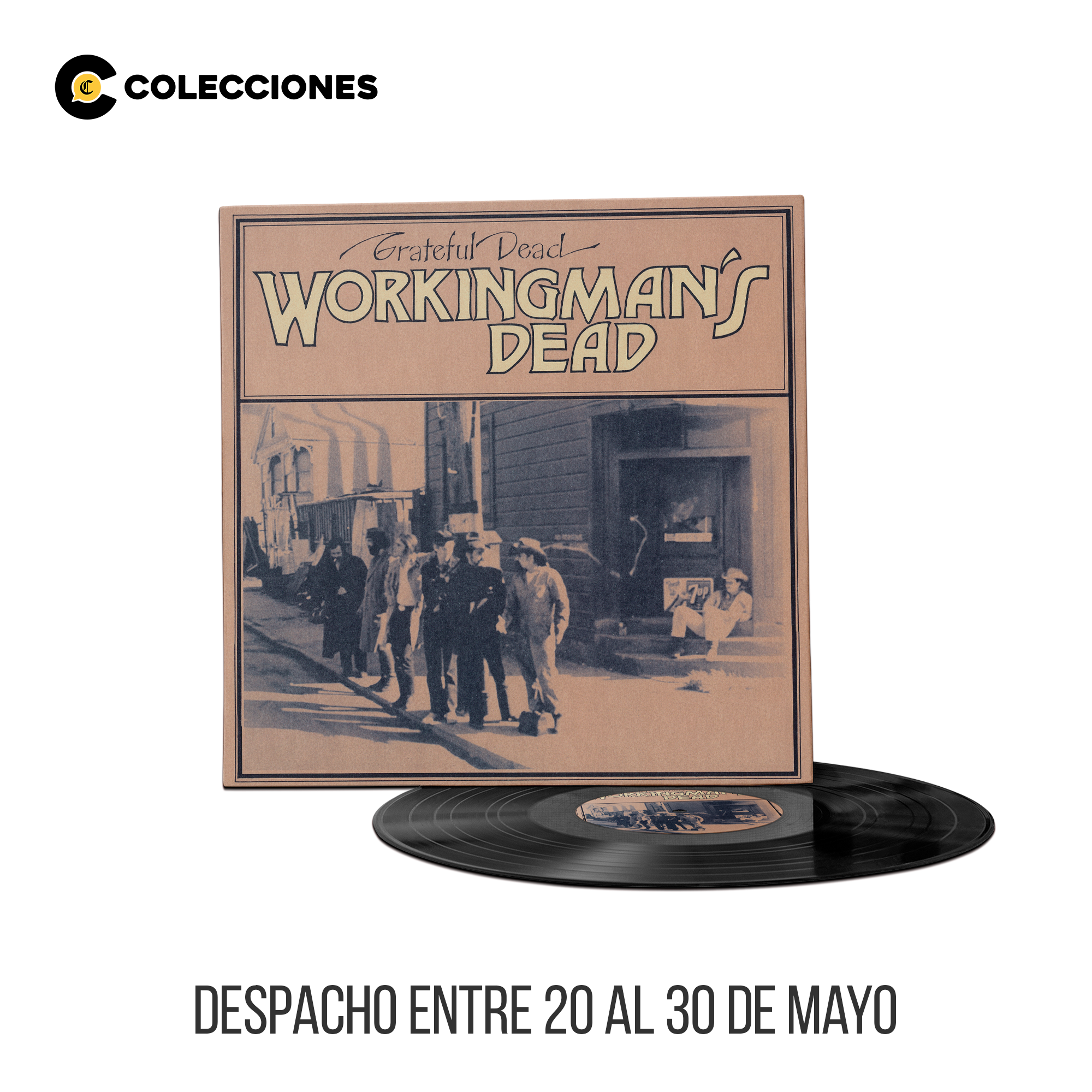 CV20 - Grateful Dead / Workingman's Dead (+ magazine)