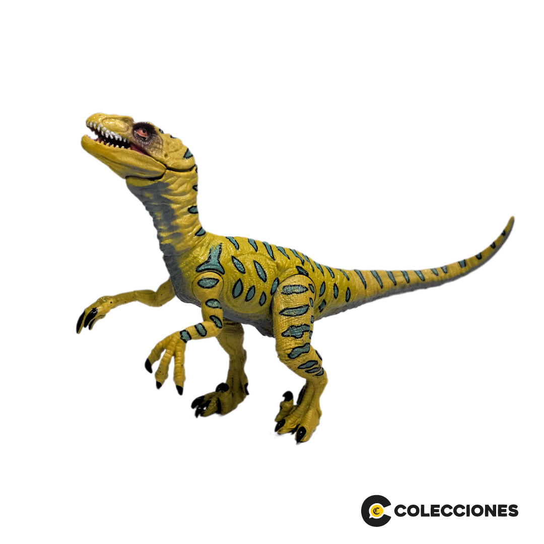 DN05 - VELOCIRAPTOR + REVISTA