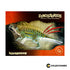 DN03 - IGUANODON + REVISTA