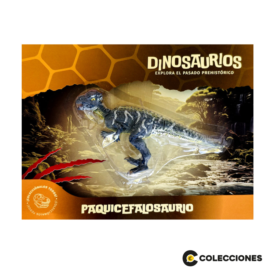 DN10 - PAQUICEFALOSAURIO + REVISTA