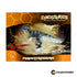 DN10 - PAQUICEFALOSAURIO + REVISTA