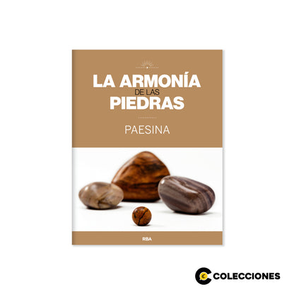 19 - Paesina + Revista