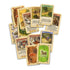 Devir Catan Cartas Mini