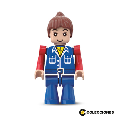 HP25 - PANEL SOLAR Y OPERADOR + FASCÍCULO (UNA MUDANZA DE ALTURA)