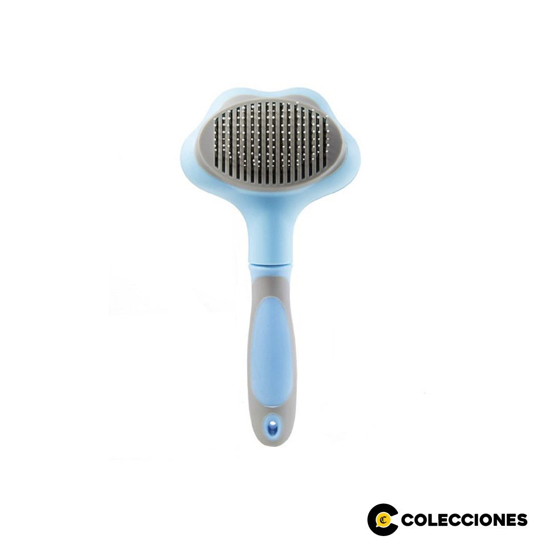 PF08 - CEPILLO MÁGICO +  GUÍA