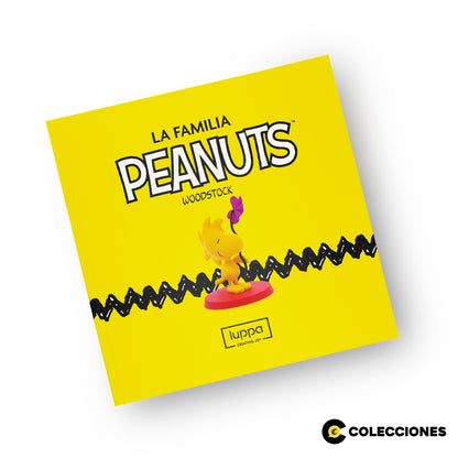 SP09 - WOODSTOCK + REVISTA