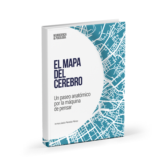 NL11 - El mapa del cerebro