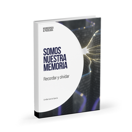 NL12 - Somos nuestra memoria