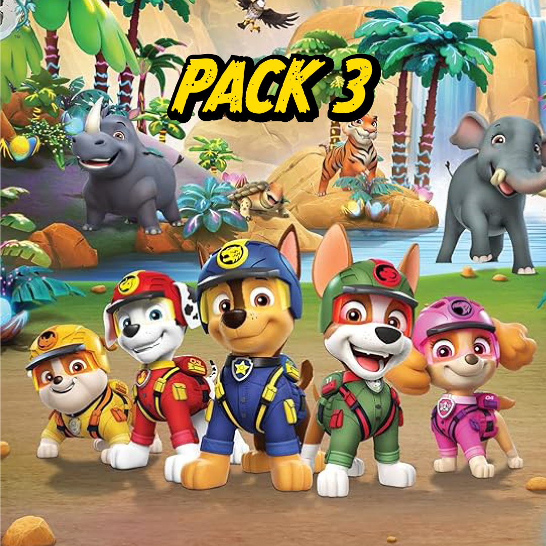 PW003 - PACK03