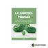 05 - Aventura Verde + Revista + Organizador De Gemas