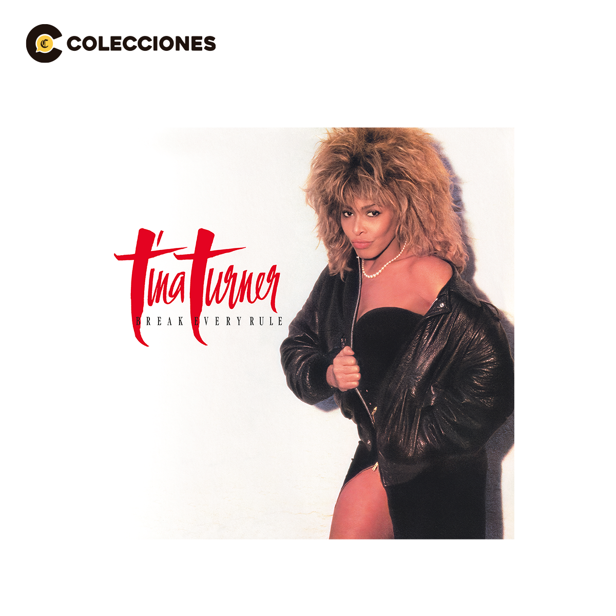 Tina Turner / Break Every Rule (1 LP)