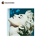 Madonna / True Blue (1 LP)